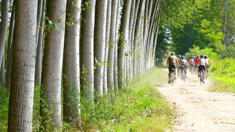 Sykkelweekend Prosecco med guide