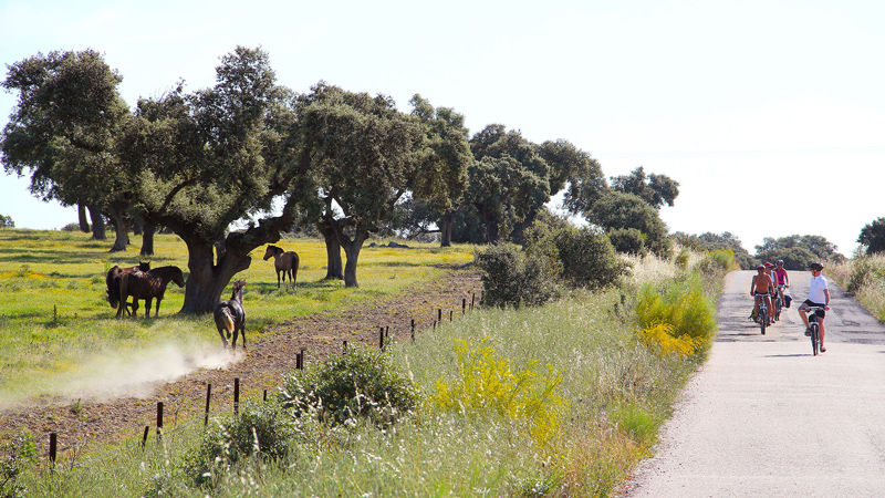 Det uberrte Spania - fra Parador til Parador p egen hnd